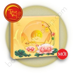 Bánh Trung Thu Trăng Vàng Hồng Ngọc An Phú Vàng (HNV)